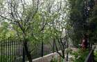 Vila de vanzare   Iancu Nicolae   Serban Cantacuzino - 6