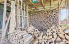 Casă solidă cu 5 camere in localitatea Almaș, Arad - 23