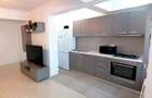 Apartament 2 camere mobilat & utilat - Theodor Pallady - 2