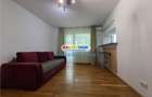 Inchiriere apartament Moderncu 2 camere situat la Romancieriilor - 2
