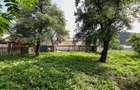 Casă renovată, teren 394 mp – Râșnov, str. Misu Popp, zonă centrală - 19