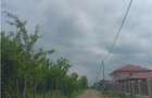 Valea Ursului aproape de padure 2 LOTURI de 600mp cu utilitati - 4