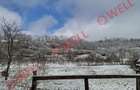 CASĂ FAMILIALĂ DE VÂNZARE SITUATĂ ÎN GOGANI - 5