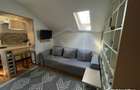 Ocazie! Apartament cochet la 5 minute de IULIUS MALL si FSEGA - 3