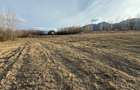 Teren intravilan 500 mp sau 1000 mp în Zarnesti –Tohanita cu parau(izvor) - 8