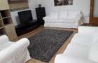 Unirii-Decebal-Rond Piata Alba Iulia,apartament 2 camere de inchiriat - 6