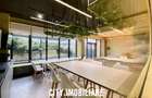 Spatiu comercial 250 mp + terasa 70 mp, Grigorescu, Parter, Ideal HoReCa   Showr - 9