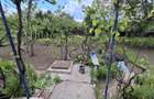 Casa paianta locuibila. Teren 1772 mp, desch. 30 ml. Asfalt, curent, apa, canal. - 7
