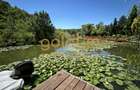 O VILA PERFECTA/IMPECABIL CONSTRUITA/4CAMERE 260MP/TEREN 1000MP/ACCES LAC-PADURE - 10
