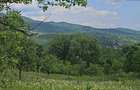 Teren intravilan 3.800 mp Comarnic | Panoramă superbă | Ideal Glamping & Pensiun - 4