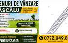 Terenul pe Care Începe Viitorul Tău | Loturi Intravilan Dascălu - 1