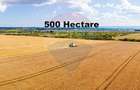 Teren 500 h plus 1000h arenda Vrancea - 1