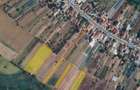 Terenuri intravilane 12.000 mp  - Adunații-Copăceni, jud. Giurgiu - 1