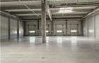 Spatiu Industrial - 1300 mp - Productie - Depozitare - Distributie - 7