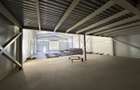 Hale noi / 1.433 mp / curte betonata // Baneasa - 50
