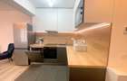 Apartament cu 3 camere la  inchiriere-Lipovei Timisoara- pet friendly - 12