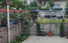 Casa individuala cartier Bulgaria, acces excelent, imobil polivalent - 2