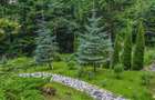 Vila de vanzare in Sinaia - 17