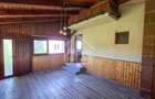 Duplex Zona Linistita Carpinis - 14