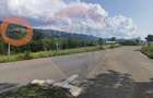 Teren 130000 mp extravilan, faneata si padure, Munteni - Bulz, Negreni - 10