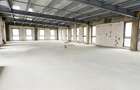 Imobil Retail + Servicii - P+2 - 1260 MP - Tunari - 7