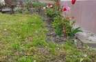 Casă cu 1,6 Hectare de Teren lângă Mănăstirea Govora - 9