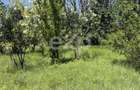 Teren 2.200 mp lângă pădure, la 11 km de Pitești – ideal pentru casă și relaxare - 8