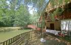 RECO, Cabana pe apa in Padurea Neagra, Bihor - 6