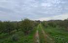 LIVADA  DE VANZARE FOCSANI-DUMBRAVITA  1,8  HA - 9