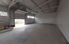 Hale cu suprafete intre 100-560mp in zona Drumul Intre Tarlale - 6