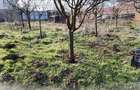 Teren intravilan 345 mp Vidra, deschidere 12 m, ideal pentru - 4