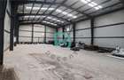 Oferta noua, hala industriala nou construita, 595 mp, - 6