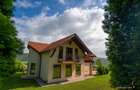 FILM! Sophisticated villa in an exclusive natural setting, Pestisu Mic, Valea Na - 20