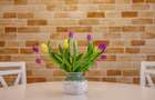 Duplex Premium, curte superbă – Timisoara,, panouri solare | Com 0% - 52