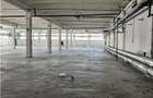 Spatiu Industrial - 3000 mp - Productie - Depozitare - Distributie - 30