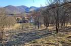 Teren intravilan 1.271 mp – Izvoarele, jud. Alba - 22