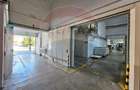 Hale Industriale 5065 mp de vanzare Str. Bradului - Bacau - 8