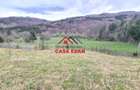 Teren extravilan Valea Doftanei 20.500 mp 6e mp - 7