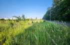 Oportunitate achiziție 2000 mp de teren intravilan - Greenfield - 3