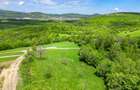 Teren intravilan intre 500 si 1000 mp   in zona Bran - 3