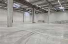 Spatiu Industrial - 6000 mp - Logistica - Productie - Depozitare - Distributie - 7