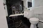 Apartament 3 camere de vanzare Dristor Fizicienilor sector 3 - 10