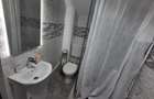 Casa individuala 3 camere 2 bai curte si garaj - zona Talmaciu - 12