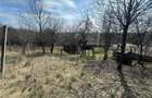 Teren Parcelabil I 11400 MP I Corpadea - 8