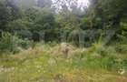 Teren intravilan, 2306 mp, zona Teis - 4