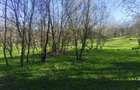 Teren intravilan com.Drajna, sat Cătunu, 12 km de Vălenii de Munte, jud. Prahova - 4