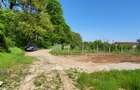 Golf Natural de Pădure Teren Unic  doar la Snagov - 3