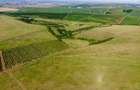 Teren arabil de 2009 hectare în Mureș - 3