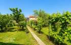 Casa cu teren 688 mp, 2 corpuri de cladire, Parneava - 20