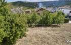 Casă individuală de vânzare în Dezmir, teren 741 mp - 14